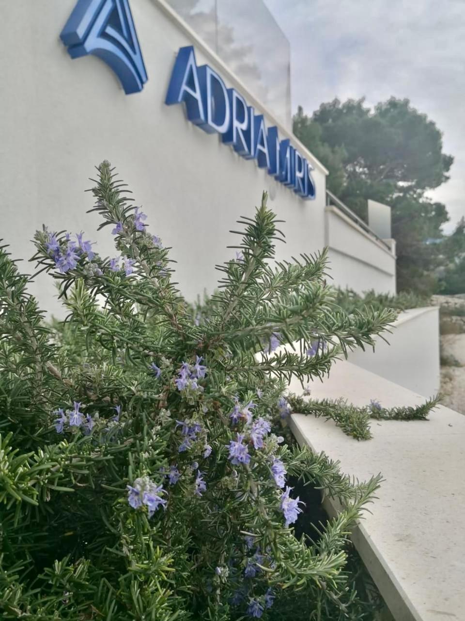 Adria Miris Apartments 德朗西斯 外观 照片